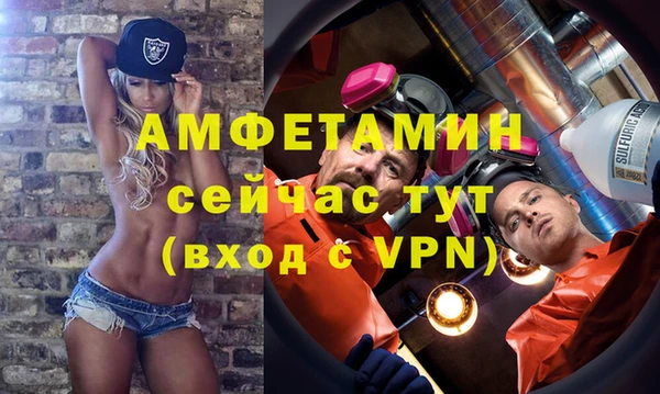 шишки Богородицк