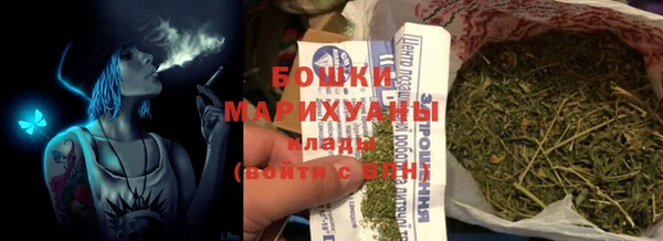 шишки Богородицк