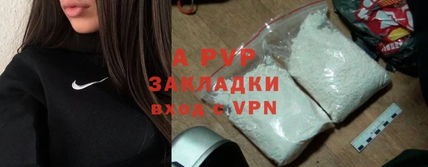 шишки Богородицк