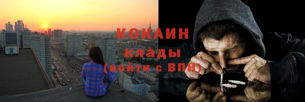 шишки Богородицк