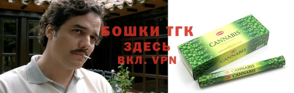 шишки Богородицк