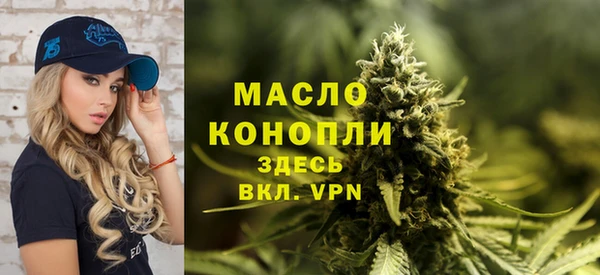 шишки Богородицк