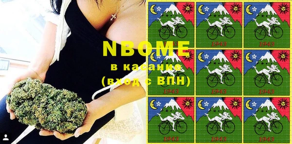 шишки Богородицк
