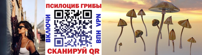 купить  цена  Яровое  Галлюциногенные грибы Cubensis 